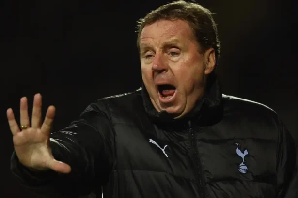 Harry Redknapp ‘Stunned’ as Boat Crashes Into Garden of His £7m Sandbanks Mansion