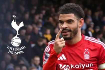 Tottenham, Morgan Gibbs-White