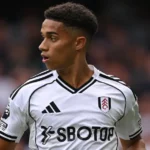 Fulham poke fun at VAR after disallowed Josh King strike vs Chelsea wins Goal of the Month