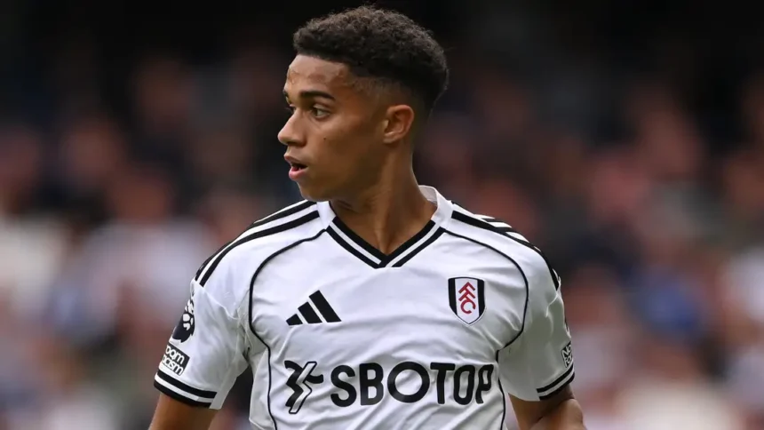 Fulham poke fun at VAR after disallowed Josh King strike vs Chelsea wins Goal of the Month