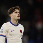 Pedro Neto starred as Chelsea beat Benfica.